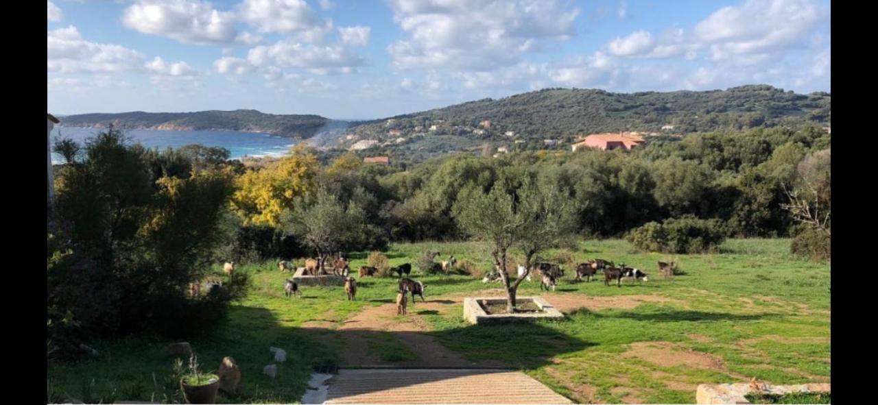 Residence Castugna Cargèse Εξωτερικό φωτογραφία