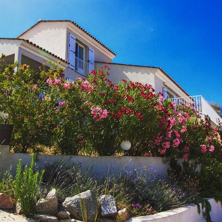 Residence Castugna Cargèse Εξωτερικό φωτογραφία