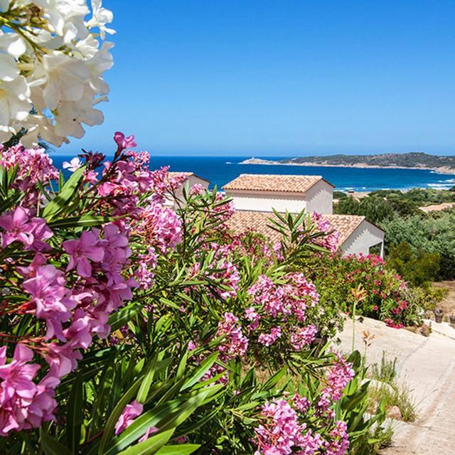 Residence Castugna Cargèse Εξωτερικό φωτογραφία